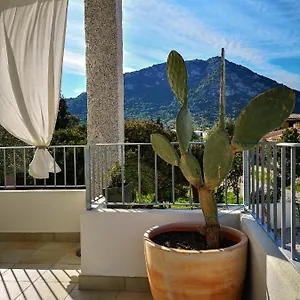 Limone San Teodoro (Sardinia)